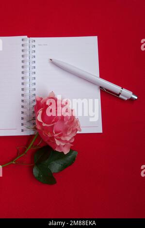 Rosa fiore e taccuino aperto su sfondo magenta Foto Stock