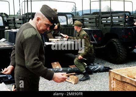 MGEN Henry C. Stackpole III, direttore piani e direzione politica, Stati Uniti Atlantic Fleet, supervisiona le operazioni mentre Marines si prepara a spostare le attrezzature nelle grotte di pre-posizionamento per lo stoccaggio. Paese: Norvegia (NOR) Foto Stock