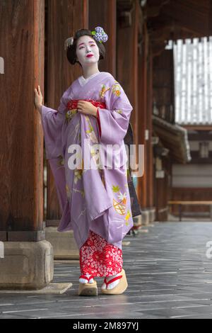Una maiko e geisha sparare al tempio Manpakuji, Kyoto Foto Stock