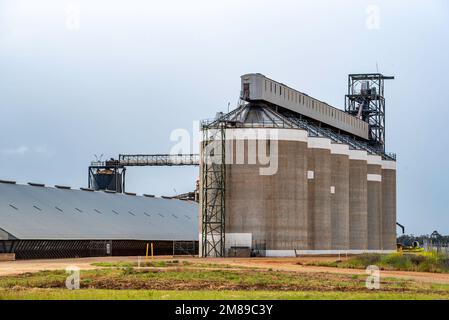 I silos di Graincorp e il bunker di grano a Nevertire, nel nuovo Galles del Sud, in Australia Foto Stock