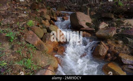 Vista ravvicinata, acqua dolce che scorre dalle montagne con le rocce del fiume Foto Stock