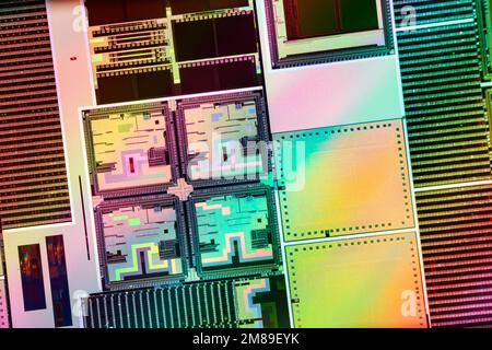 Wafer monocristallino al silicio con fabbricazione di microchip utilizzati nella fabbricazione di circuiti integrati elettronici. Foto Stock