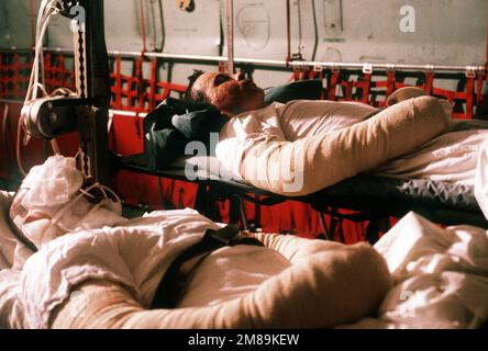PETTY Officer 3rd Classe David Burbine e MARINAIO apprendista Wayne Smith giacciono su barelle in un aereo militare 438th Airlift Wing C-141b Starlifter che li trasporta in Germania per ulteriori cure mediche. Quattro crewmen furono gravemente feriti quando la fregata missilistica guidata USS SAMUEL B. ROBERTS (FFG-58) colpì una miniera mentre operava nel Golfo Persico. Paese: Sconosciuto Foto Stock