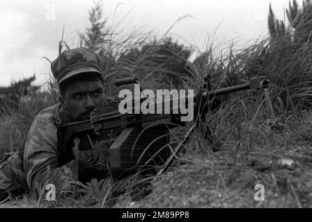 Un membro della Co.. L, 3rd BN., 5th Marines, punta la sua M-249 squadra arma automatica (SAW) a un bersaglio durante un raid simulato su un sito missilistico. Paese: Sconosciuto Foto Stock