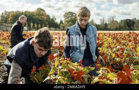 EDEN DAMBRINE e GUSTAV DE WAELE in CLOSE (2022), diretto da LUKAS DHONT. Credit: MENUET PRODUCTIES / Album Foto Stock