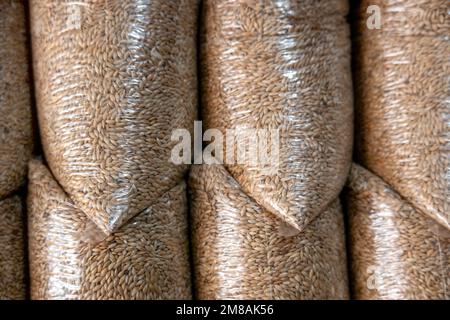 Un mucchio di sacchetti di plastica riempiti con semi di erba canarino (Phalaris canariensis) Foto Stock