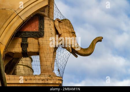 Gargoyle degli elefanti nell'edificio delle sale da tè degli elefanti di Sunderland (attualmente in fase di ristrutturazione nel 2023) Foto Stock