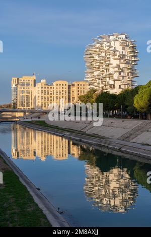 Montpellier, Francia - 01 12 2022 : Vista del paesaggio di pietra miliare arbre bianco o edificio di alberi bianchi e sala provinciale con riflessione nel fiume Lez Foto Stock