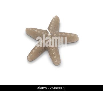 Candela profumata di vari colori isolata su sfondo bianco a forma di fiore. Elegante candela colorata Foto Stock