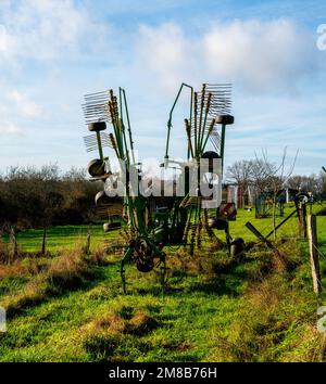 Rastrello per fieno o macchina per lo spostamento del fieno per un'asciugatura più rapida Foto Stock