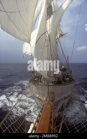 Vista dal bowsprit della nave alta della Marina indiana IN Tarangini Foto Stock