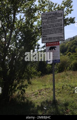 Segnale di avvertimento contro gli orsi (in rumeno) sul Monte Tampa a Brașov, Romania Foto Stock