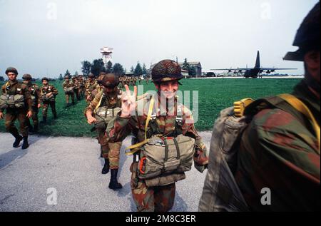 Paracadutisti italiani e portoghesi salpano a bordo 37th Tactical Airlift Squadron C-130 Hercules velivolo per il trasporto alla zona di caduta di Montichiari durante la determinazione di esposizione '89, un esercizio combinato della NATO che si concentra sulla difesa dell'Europa meridionale. Soggetto operativo/Serie: DISPLAY DETERMINATION '89 base: Villafranca Air base Paese: Italia (ITA) Foto Stock