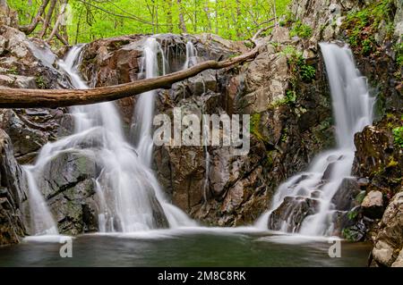 Un pomeriggio rilassante al Rose River Falls Shenandoah National Park Virginia USA, Virginia Foto Stock