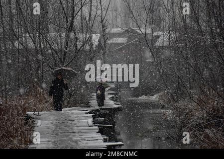 Srinagar, Kashmir, India. 13th Jan, 2023. I residenti camminano lungo il ponte pedonale in legno durante le nevicate. Parti della valle di Kashmir compreso Srinagar ha ricevuto nevicate che portano alla chiusura della vitale Srinagar-Jammu autostrada nazionale e la cancellazione delle operazioni di volo, funzionari qui ha detto. (Credit Image: © Saqib Majeed/SOPA Images via ZUMA Press Wire) SOLO PER USO EDITORIALE! Non per USO commerciale! Foto Stock