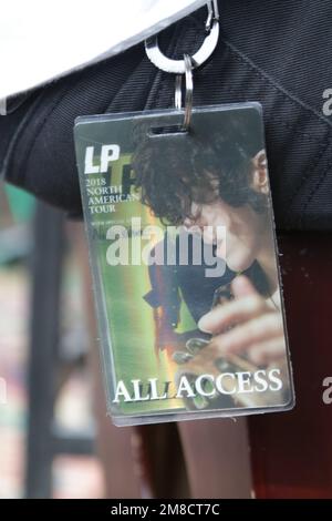 LP - Laura Pergolizzi filma una sessione a Brooklyn, New York Foto Stock