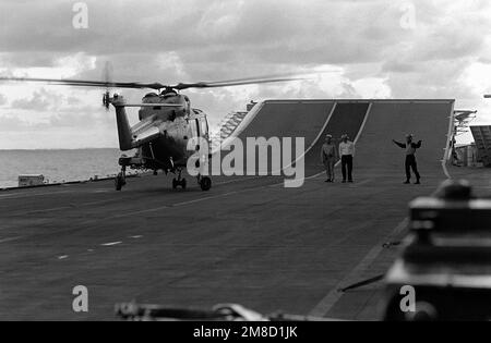 Un equipaggio di ponte di volo segnala al pilota di un HA. MARK 2 LYNX Helicopter a bordo della portaerei leggeri HMS INVINCIBILE (R-05) durante la flotta ex 1-90. Oggetto/Serie: FLOTTA EX 1-90 Paese: Mar dei Caraibi Foto Stock