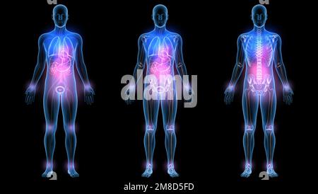 3d illustrazione di organi interni e ossa, in vetro trasparente. In tre diverse immagini anatomiche. Foto Stock