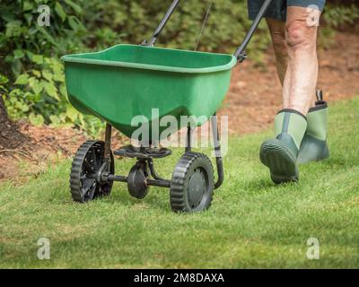 Uomo semina e fertilizzazione prato residenziale cortile con spanditore manuale semi da prato. Foto Stock