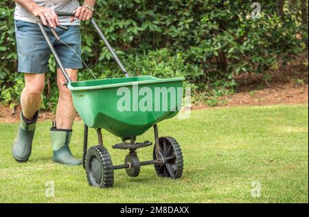 Uomo semina e fertilizzazione prato residenziale cortile con spanditore manuale semi da prato. Foto Stock