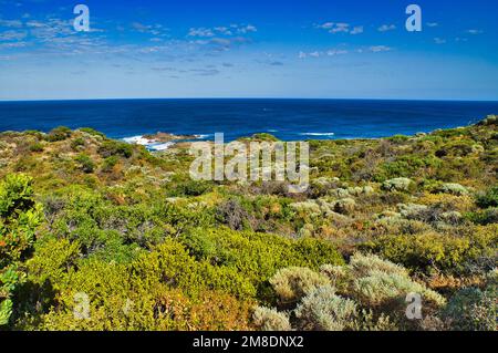 Stunted bassa vegetazione di brughiera costiera a Cape Naturaliste, Leeuwin-Naturaliste National Park, Margaret River Region, Western Australia Foto Stock