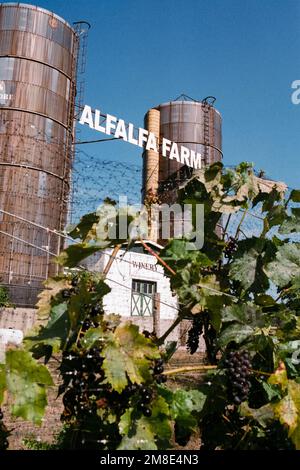 Silos gemelli con un cartello con la scritta "Alfalfa Farms" appeso tra loro presso la cantina Alfalfa Farms. Topsfield, Massachusetts. L'immagine è stata catturata su ana Foto Stock