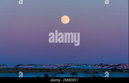 Una luna piena che sorge al tramonto su un paesaggio innevato al Parco Nazionale Theodore Roosevelt nel North Dakota. Foto Stock