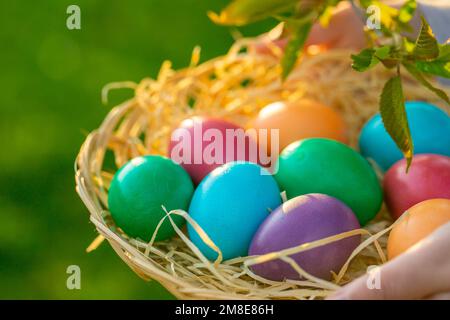 Caccia all'uovo di pasqua. uova multicolore in una ciotola di vimini Foto Stock