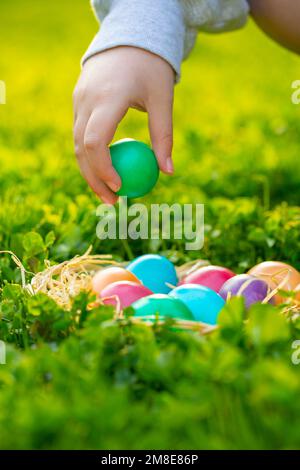 La caccia all'uovo di pasqua raccoglie le uova colorate in un'erba verde Foto Stock