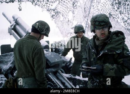 SGT Darcy Johnson, davanti, PFC Grady Pearson, a sinistra, e PFC Mati Puleola stand accanto a un M-101 105mm howitzer posizionato sotto mimetizzazione mimetizzazione durante CALFEX '90, un servizio congiunto, armi combinate Live-Fire esercizio. I soldati appartengono a BTRY. B, 5th BN., 11th Field Arty. Subject Operation/Series: CALFEX '90 base: Eielson Air Force base Stato: Alaska(AK) Paese: Stati Uniti d'America (USA) Foto Stock