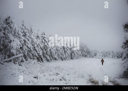 Uomo che cammina attraverso il campo invernale nel Wisconsin Foto Stock