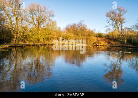 Crime Lake Oldham Manchester Foto Stock