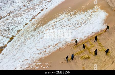 ZHANGYE, CINA - 13 GENNAIO 2023 - i residenti hanno messo le barriere di sabbia e piantano i saxoples nella zona desertica della contea di Linze nella città di Zhangye, CH nord-ovest Foto Stock