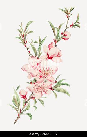 Vintage Japanese Peach Blossoms vettoriale art print, remix da opere d'arte di Megata Morikaga Illustrazione Vettoriale