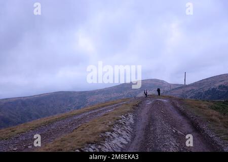 CARPAZI MONTAGNE, UCRAINA - 8 OTTOBRE 2022 Monte Dragobrat. Carpazi in Ucraina in nebbia giorno d'autunno. I turisti camminano attraverso le colline per salire fino alla cima del monte Dragobrat Foto Stock