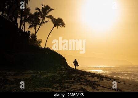 Silhouette di un surfista che cammina su Sunset Beach, Hawaii con una tavola da surf al tramonto Foto Stock