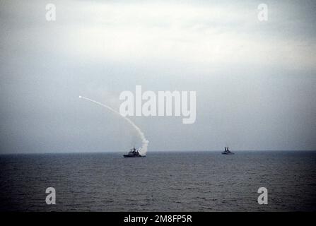 Un missile di attacco terrestre Tomahawk BGM-109 (TLAM) si dirige verso un bersaglio iracheno dopo essere stato lanciato dall'incrociatore missilistico guidato USS BUNKER HILL (CG-52) durante l'operazione Desert Storm. Il cacciatorpediniere USS PAUL F. FOSTER (DD-964) è a destra. Soggetto operativo/Serie: SCUDO DEL DESERTO Paese: Golfo Persico Foto Stock