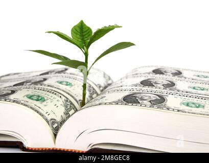 Germogli di foglie che crescono da un libro coperto di dollari - simbolo dei costi e dei benefici per l'istruzione (focalizzazione sul ritratto in primo piano) Foto Stock