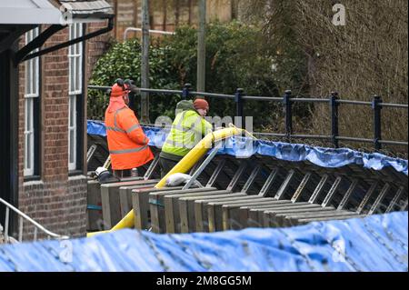 Bewdley, Worcestershire, Regno Unito. 14 gennaio 2023 - i lavoratori dell'Agenzia dell'ambiente hanno trattenuto il fiato mentre il fiume Severn continua a innalzarsi di fronte alle barriere di difesa contro le inondazioni a Beales Corner, che attualmente bloccano i torrenti d'acqua che attualmente misurano 4,6 m di altezza, con i picchi attesi all'inizio ore di domenica mattina. Un avvertimento meteorologico giallo per forti piogge è stato anche annunciato per l'Inghilterra occidentale, influenzando ulteriormente l'innalzamento del livello del fiume. Credito: Interrompi stampa Media/Alamy Live News Foto Stock