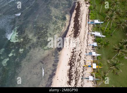 Spiaggia sull'isola di Siargao, Filippine visto dall'alto, foto del drone Foto Stock