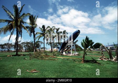 Le fronde delle palme cucciolano il terreno attorno a un missile RGM-6/15 Regulus superficie-superficie danneggiato dall'uragano Iniki. Base: Naval Station, Pearl Harbor Stato: Hawaii (HI) Paese: Stati Uniti d'America (USA) Foto Stock