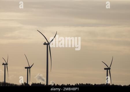 Leuthen, Germania. 14th Jan, 2023. Le turbine eoliche in posizione immobile possono essere viste da Leuthen nel distretto di Spree-Neiße di Brandeburgo all'orizzonte nella vicina Schorbus. Credit: Frank Hammerschmidt/dpa/Alamy Live News Foto Stock