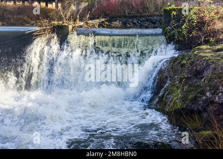 Una vista del Brewery Park con una delle cascate di Tumwater Falls. Foto Stock