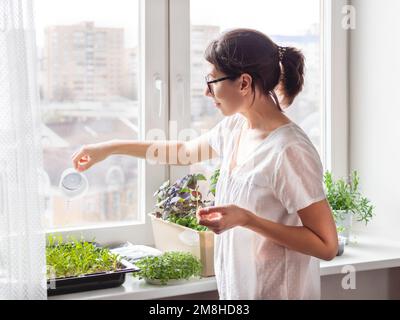 Donna sta annaffiare piante e microgreens sul windowsill. Coltivazione di basilico organico commestibile, rucola, microgredo di cavolo per una sana alimentazione. Garde Foto Stock