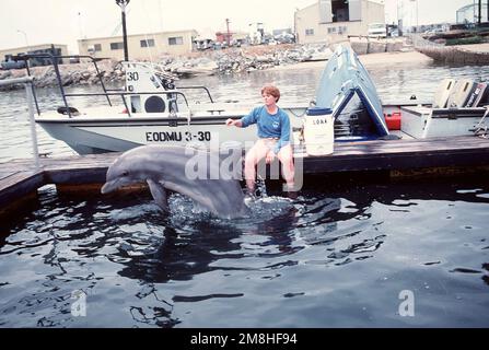 IL CAPO maggiore Torpedoman Valerie Langstaff, Explosive Ordnance Disposal (EOD) Group Three, lavora con Loma, un delfino Atlantico che viene addestrato per le assegnazioni EOD. Paese: Sconosciuto Foto Stock