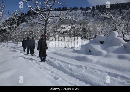 Srinagar, Kashmir, India. 14th Jan, 2023. Kashmiri Villagers camminano sulla zona coperta di neve dopo le forti nevicate nella zona di Baramulla del Kashmir. Le autorità di Jammu e Kashmir hanno lanciato un avvertimento a valanga per 10 distretti che hanno assistito a nevicate da moderate a pesanti nelle ultime 48 ore. (Credit Image: © Sajad Hameed/Pacific Press via ZUMA Press Wire) SOLO PER USO EDITORIALE! Non per USO commerciale! Credit: ZUMA Press, Inc./Alamy Live News Foto Stock