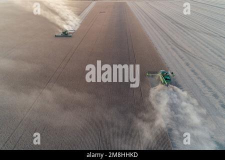 63801-14916 Vista aerea delle mietitrebbie che raccolgono soia al tramonto Marion Co.. IL Foto Stock