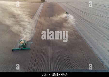 63801-14920 Vista aerea delle mietitrebbie che raccolgono soia al tramonto Marion Co.. IL Foto Stock