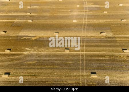 63801-17602 Vista aerea di grandi balle quadrate di paglia di grano in Field Clay Co.. IL Foto Stock