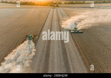 63801-18118 Vista aerea delle mietitrebbie che raccolgono il campo di soia al tramonto Marion Co.. IL Foto Stock